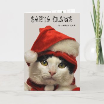 Greyfoot Cat Rescue Santa Claws Holiday Card by GreyfootCatRescue at Zazzle