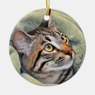 Greyfoot Cat Rescue Silver Grey Tabby Ornament