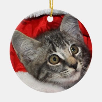 Greyfoot Cat Rescue Silver Grey Tabby Ornament by GreyfootCatRescue at Zazzle