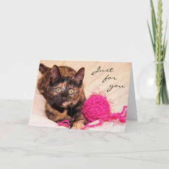 Greyfoot Cat Rescue Tortie Just For You Card by GreyfootCatRescue at Zazzle