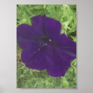 greyforaday Blue Floral Print