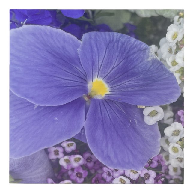 greyforaday Blue Floral Print (Front)