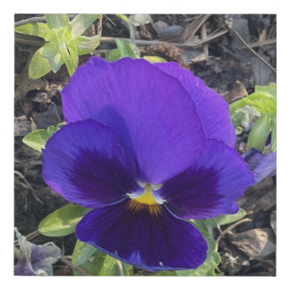 greyforaday Blue Floral  Print