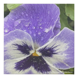 greyforaday Blue Floral Print