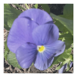 greyforaday Blue Floral Print