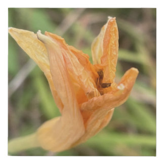 greyforaday Orange Floral Print