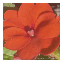 greyforaday Orange Floral Print