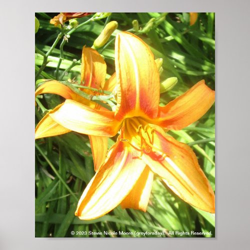 greyforaday Orange Floral Print