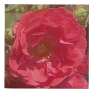 greyforaday Pink Floral Print