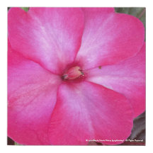 greyforaday Purple Floral Print