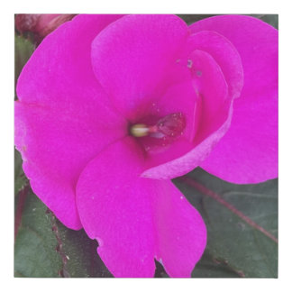 greyforaday Purple Floral Print