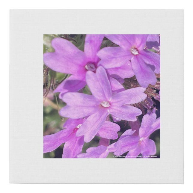 greyforaday Purple Floral Print (Front)