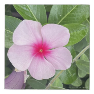 greyforaday Purple Floral Print