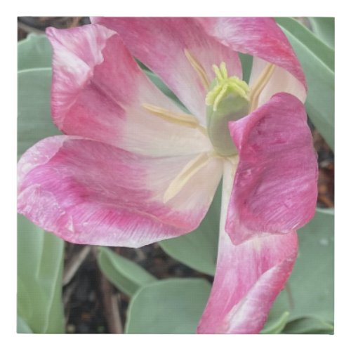 greyforaday Purple Floral Print