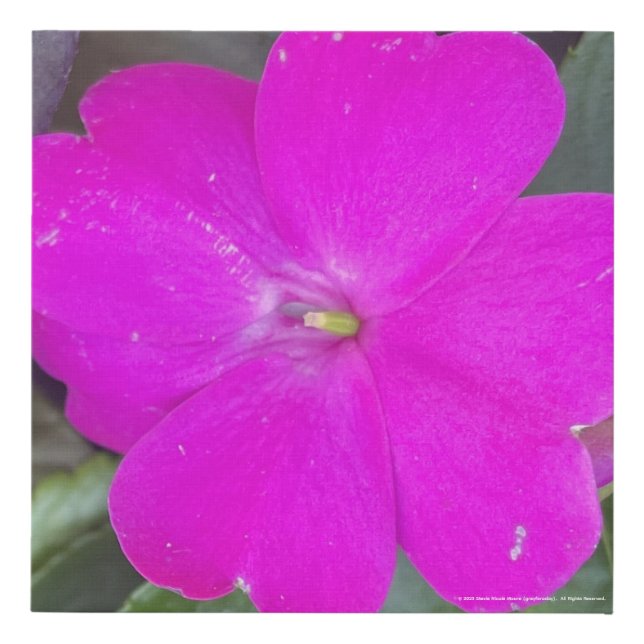 greyforaday Purple Floral Print (Front)