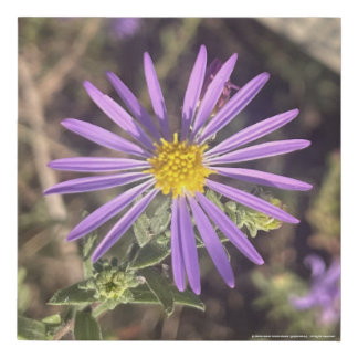 greyforaday Purple Floral Print