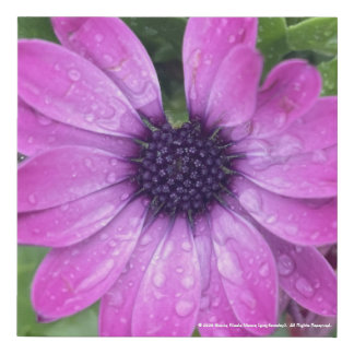 greyforaday Purple Floral Print