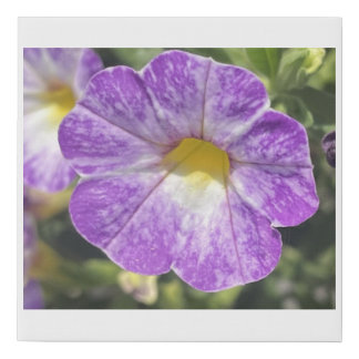 greyforaday Purple Floral Print