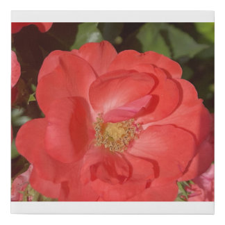 greyforaday Red Floral Print