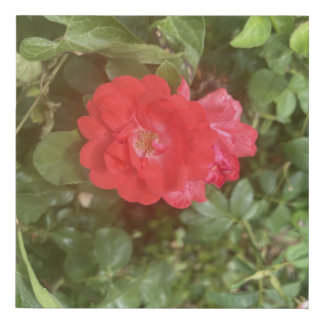 greyforaday Red Floral Print