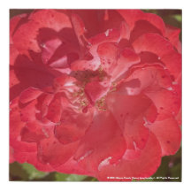 greyforaday Red Floral Print