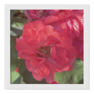 greyforaday Red Floral Print