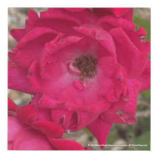 greyforaday Red Floral Print