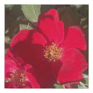 greyforaday Red Floral Print