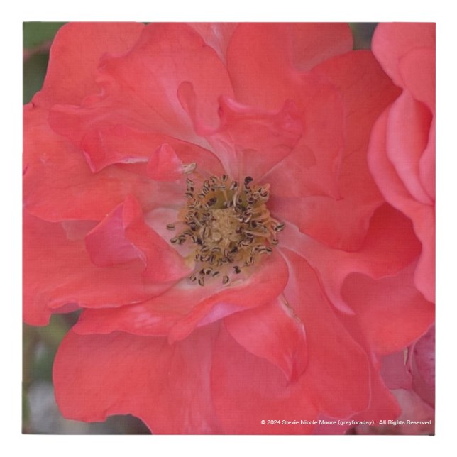 greyforaday Red Floral Print (Front)