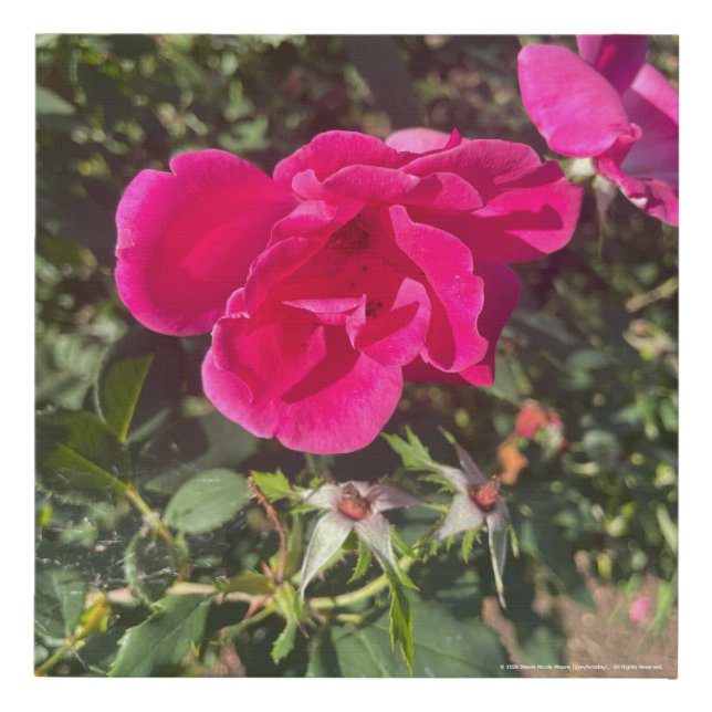 greyforaday Red Floral Print (Front)