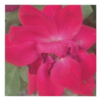 greyforaday Red Floral Print