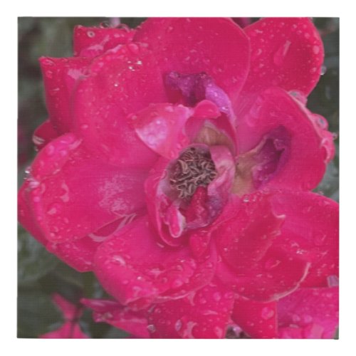 greyforaday Red Floral Print