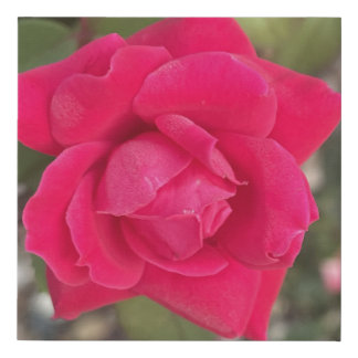 greyforaday Red Floral Print