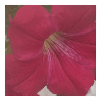 greyforaday Red Floral Print