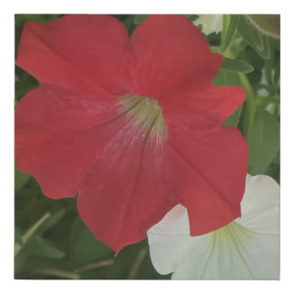 greyforaday Red Floral Print