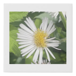 greyforaday White Floral Print