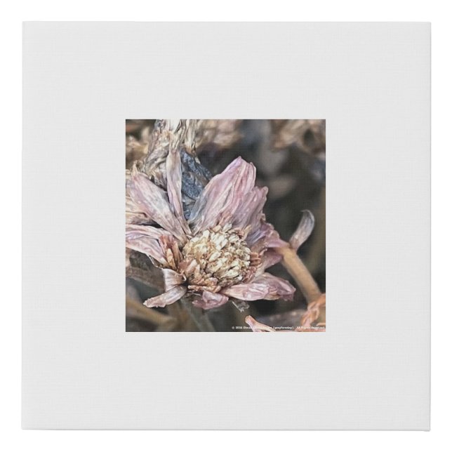 greyforaday White Floral Print (Front)