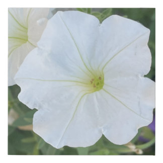 greyforaday White Floral Print