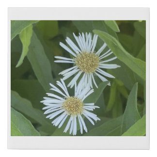 greyforaday White Floral Print