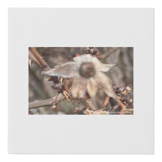 greyforaday White Floral Print (Front)