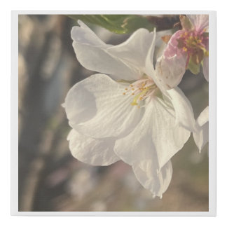 greyforaday White Floral Print