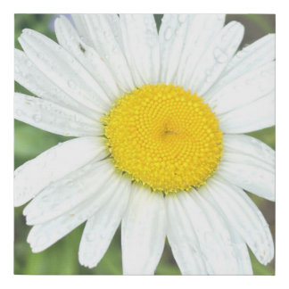 greyforaday White Floral Print