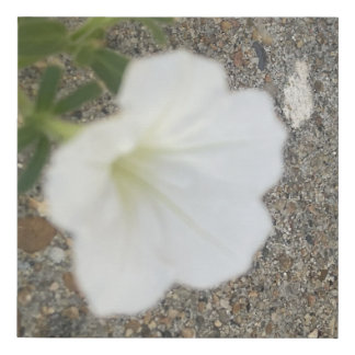 greyforaday White Floral Print