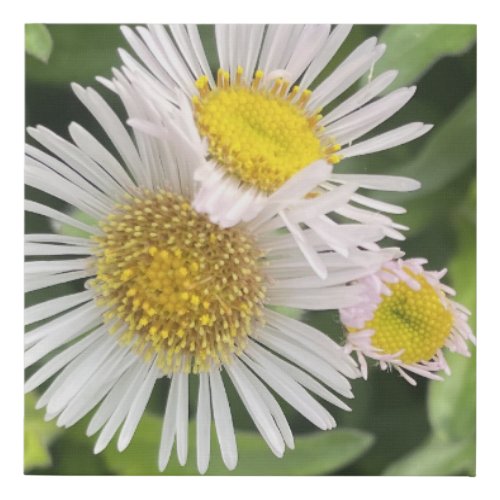 greyforaday White Floral Print