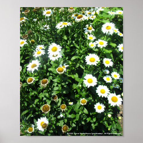 greyforaday White Floral Print