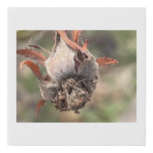 greyforaday White Floral Print (Front)