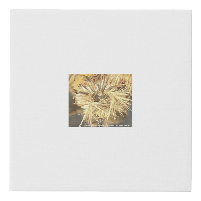 greyforaday White Floral Print (Front)