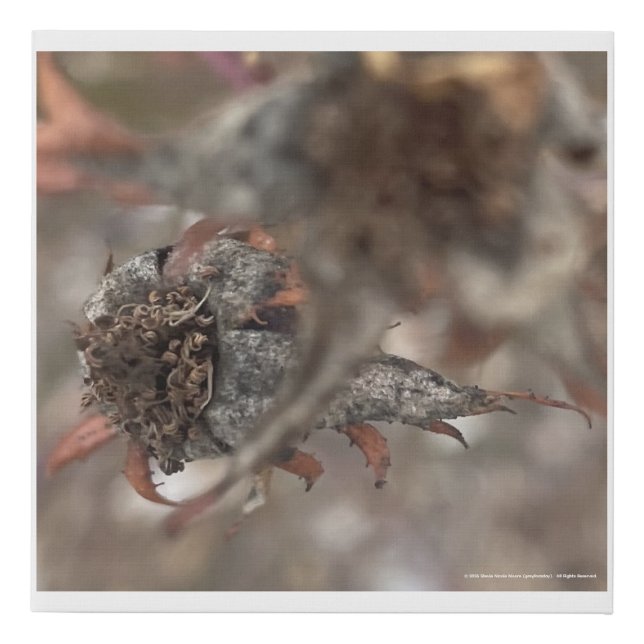 greyforaday White Floral Print (Front)