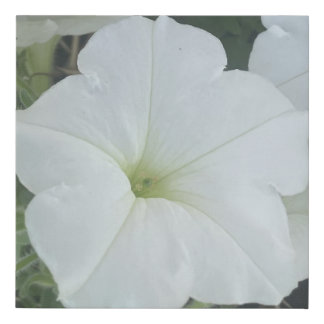 greyforaday White Floral Print