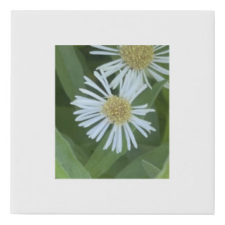 greyforaday White Floral Print